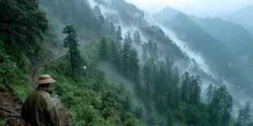 外国友人在泰山之巅流下的泪水：一次心灵之旅的感动瞬间