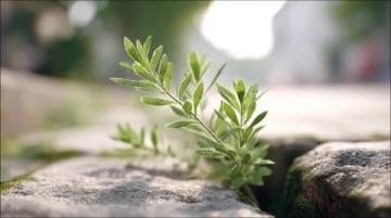不再害怕失败，不断突破自我，才会看到真正的成长