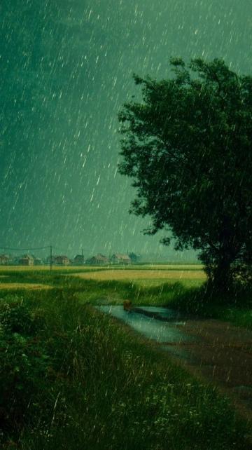 记忆中的那场雨storm
