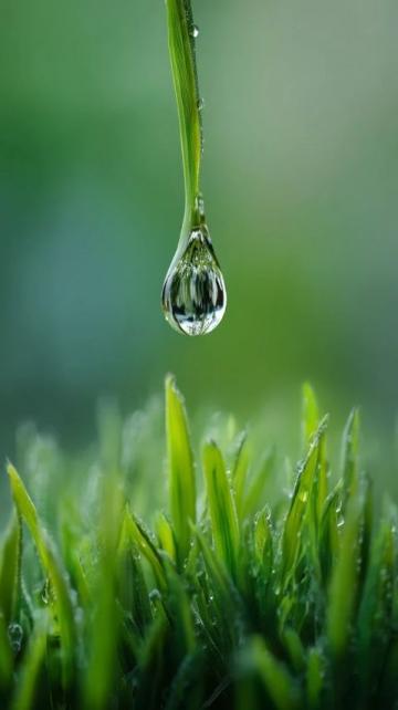 生活中的每一滴雨都将成为你的泪中流出的光明