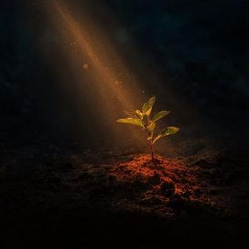 在时光中绽放生命的光芒：名言警句启示录