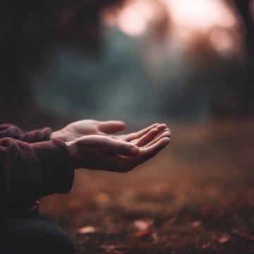 简短话语触动心灵：放下争斗，追求内心的平衡与幸福