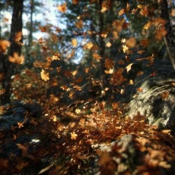 重拾生活乐趣：在季节更迭中发现新生与美好
