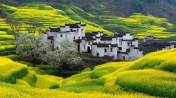 游村有感:丰年喜迎客,农家情意浓