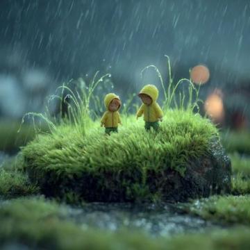 春雨晨读:与孩子共赏父爱温情
