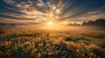 夏日的早晨的经典语句(夏日的清晨 - 今日头条)