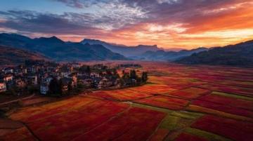 探秘唐河县八里冲：美丽乡村之旅记实