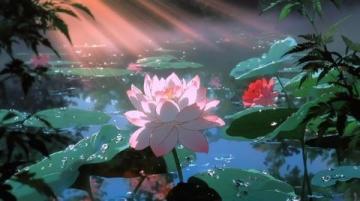 荷花映水景:250字赏荷随笔精选
