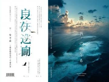 完美世界意难平语录(完美世界经典语录语录)