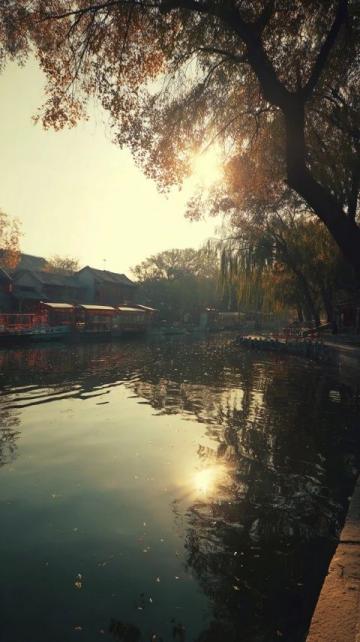 上海世纪公园镜天湖美景作文精选