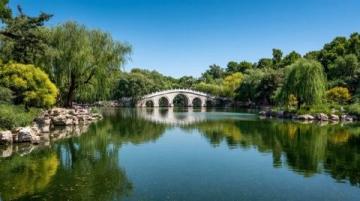 上海世纪公园镜天湖美景作文精选