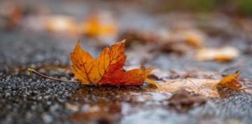 被孩子秋天的作文让我头痛却很温馨:秋风、秋雨和秋叶的故事