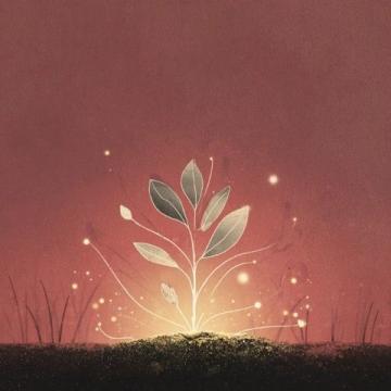 人生之路（励志篇）- 面对打击,学会成长.