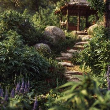 小花园里的美丽景色作文范例