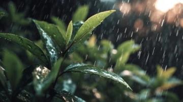 五一假期天气预报及出行提醒:阳光与雨水轮番登场