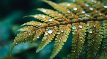 五一假期天气预报及出行提醒:阳光与雨水轮番登场