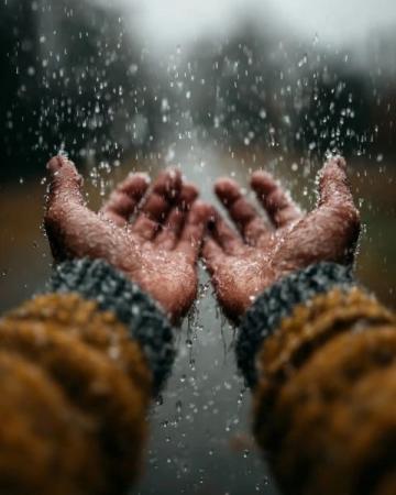 下雨天的心情语录：拥抱雨水，坚持自我
