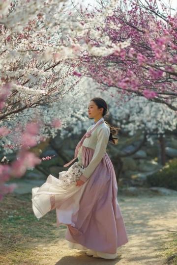 春日樱花邂逅回忆录：重温那段温暖的花瓣时光