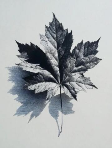 一叶随风动，万物归根本";