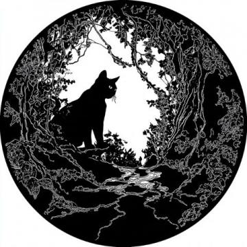 摘抄美文精华：小黑猫的清晨与夜晚，文字里的夏日清凉与活力