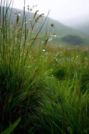雨后晴天的田野