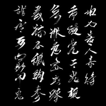 杨振宁的名言语录(概括杨振宁的名言警句)