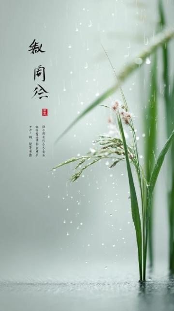 鬼谷子智慧：春生夏长秋收冬藏，顺应自然规律