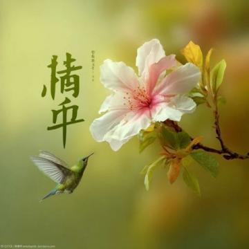 捕捉春意:中小学生笔下的永恒春天——赏析绘中常春画作背后的故事