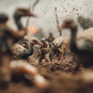 生死之战起伏不定的状态(生死之战经典语录)