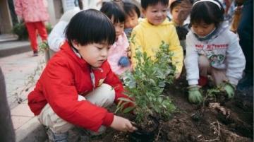 植树节行动:小学如何培养一代环保小卫士?(活动实践与成长记录)