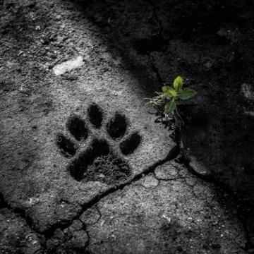 成长路上最温暖的依靠：那些年，你给予我的无尽陪伴与力量。