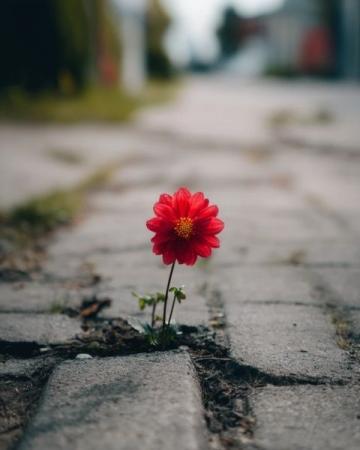 成长路上最温暖的依靠:那些年,你给予我的无尽陪伴与力量。