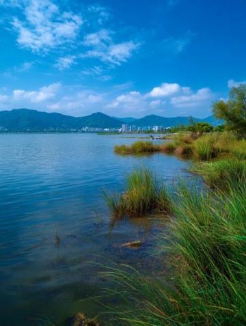 探秘千鹤岛湿地:家乡的自然美景与生态之旅记录