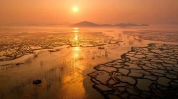 探秘千鹤岛湿地:家乡的自然美景与生态之旅记录