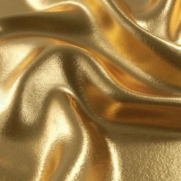 金奖作文——她就是我