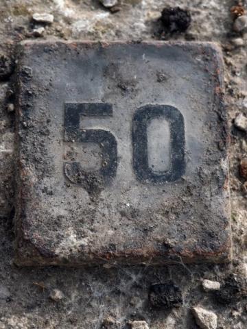 致敬金年:50岁生日深情寄语