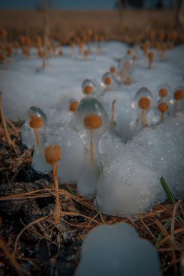 让冰雪之魂点燃校园激情——'冰雪进校园'