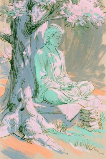 岁月沉淀下的从容智慧：随心而行，自在洒脱的人生哲学