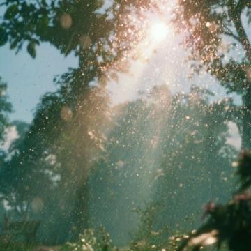 夏日别离:青春岁月中的细雨轻痕与成长的轨迹