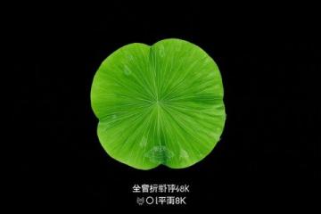 鲁迅先生的名言无尽的远方(你喜欢鲁迅先生的哪句名言)
