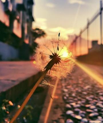 让自己开心的句子朋友圈(让自己开心的句子)
