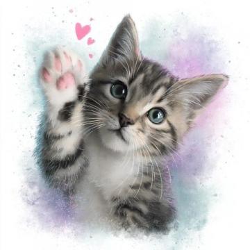 十岁生日礼物:我与小猫闪电的温馨故事