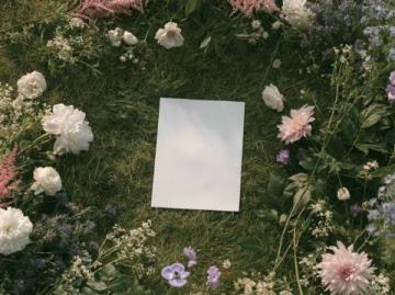 春之序曲:三年时光里的季节诗篇