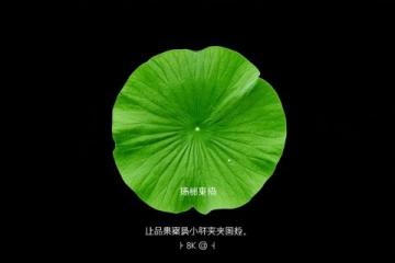部编版六年级语文同步作文,小学生写作必备精选指南
