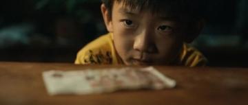 我心中的不灭之星:马龙的卓越乒乓旅程与深远启示