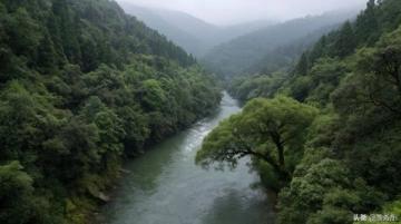 一起看最美的风景语录：携手共赏人间美景，感受生命温暖与感动