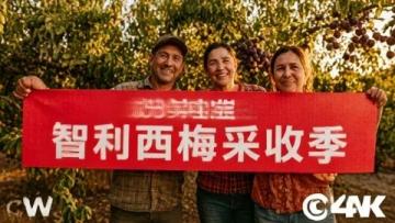 妈妈,你问过甘肃搬瓜少年吗?这篇作文太感人,看哭很多人
