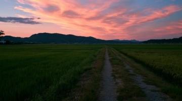 沿途的风景：生活不在终点，在于享受过程的幸福与满足
