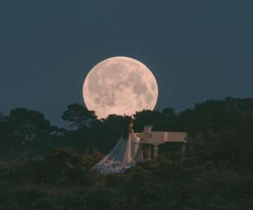 中秋之夜：月圆人相聚，情感绵长的温馨故事