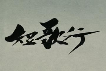 赵四的经典语录风靡大江南北，引发网友广泛共鸣与热议